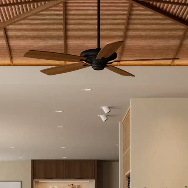 Ceiling fan